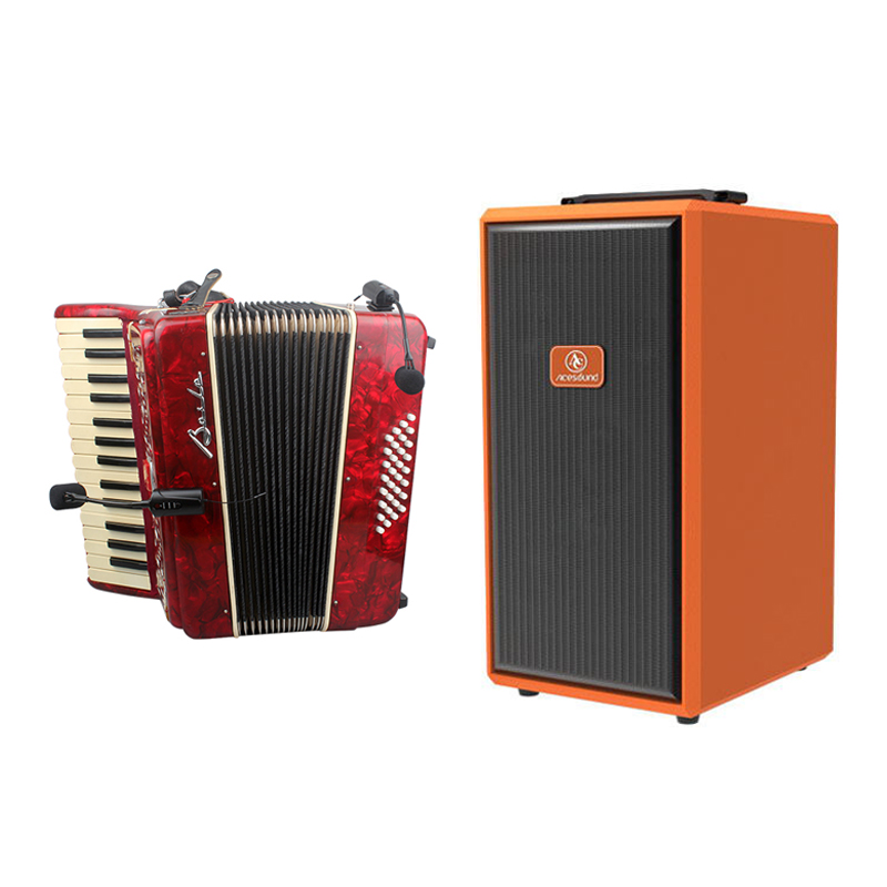 L9 360W Instrument Speaker