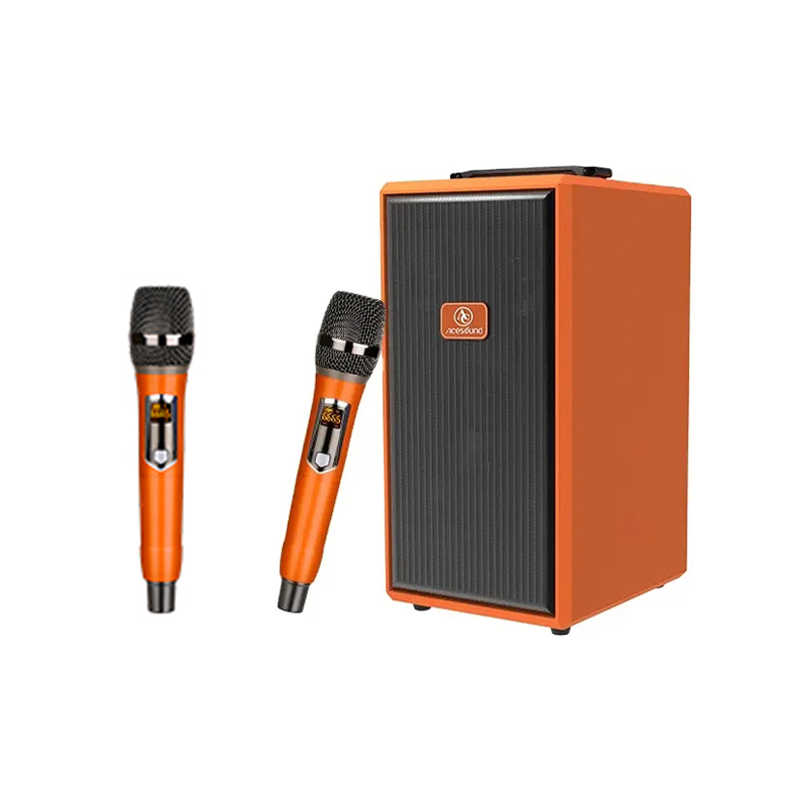 Acesound L9 360W Instrument Speaker