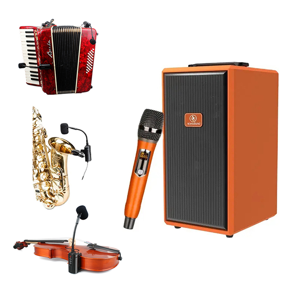Acesound L9 360W Instrument Speaker