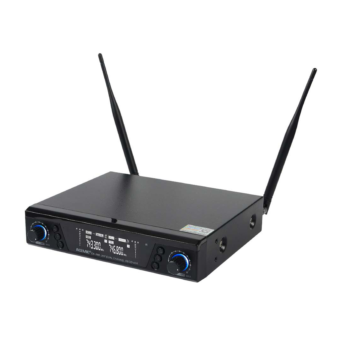 EX-200 Dual Wireless Microphone System for Band