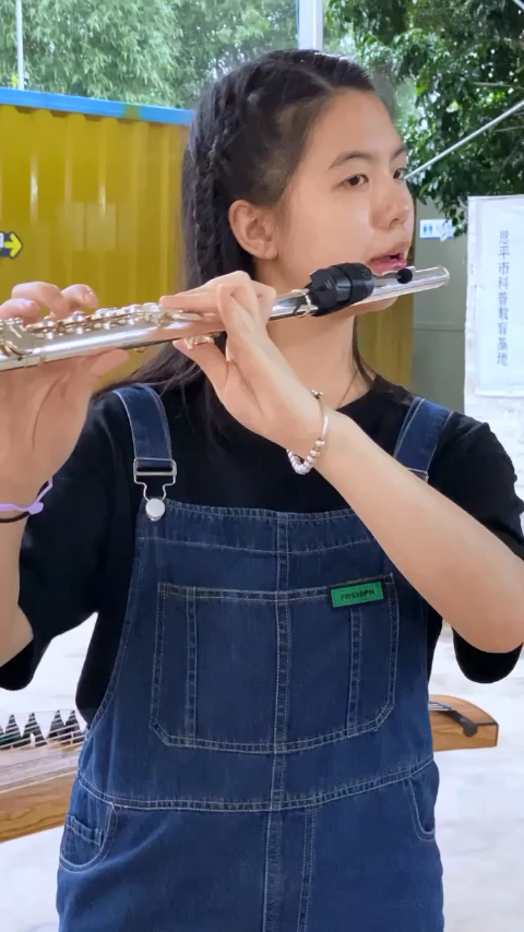 DT-5 Wireless Flute Microphone