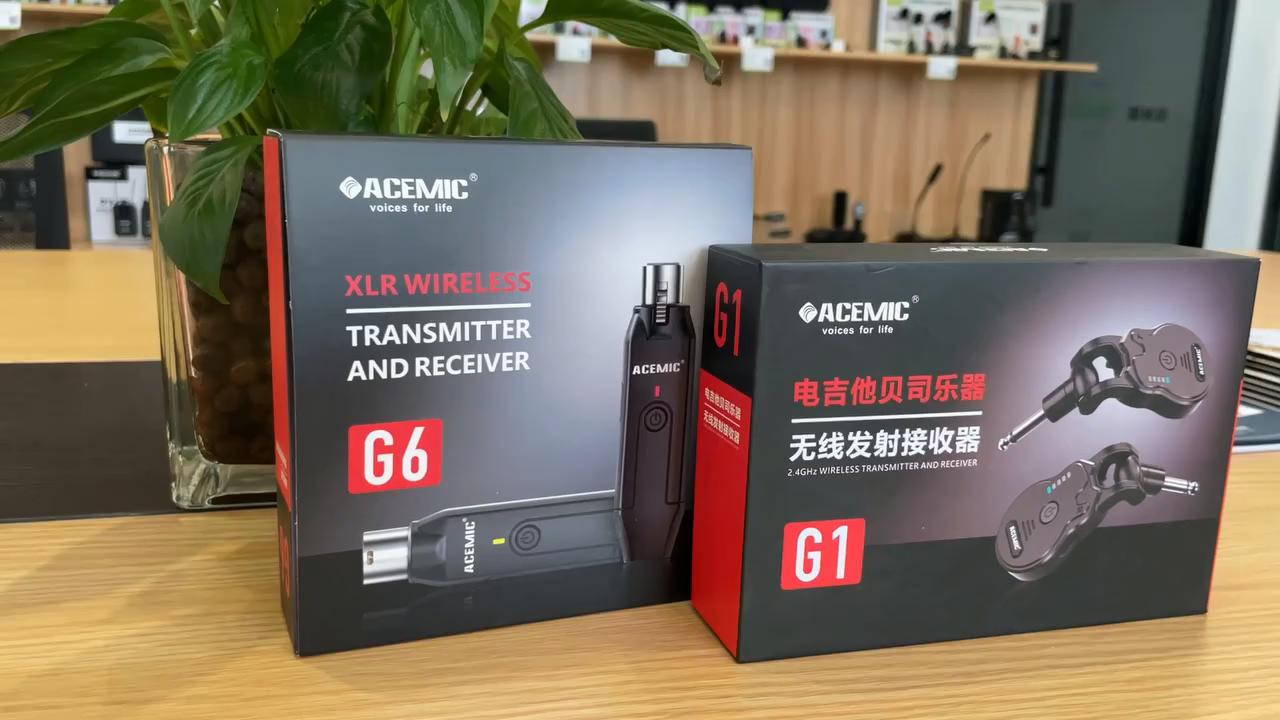 G1 2.4G Wireless Guitar System