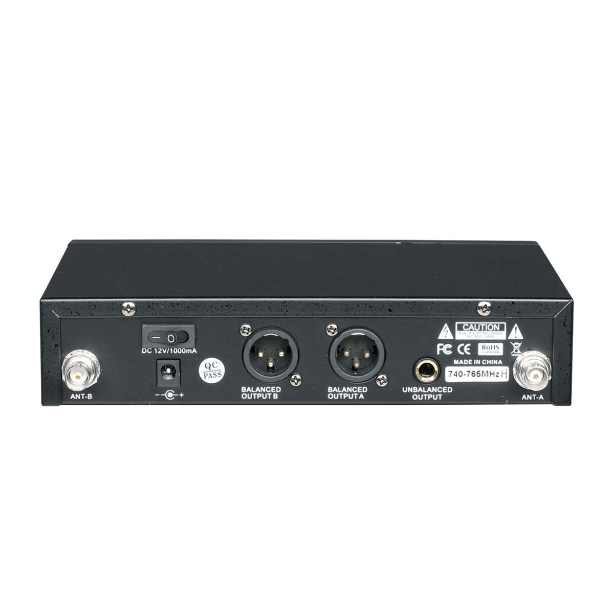 EX-200 Dual Wireless Microphone System for Band
