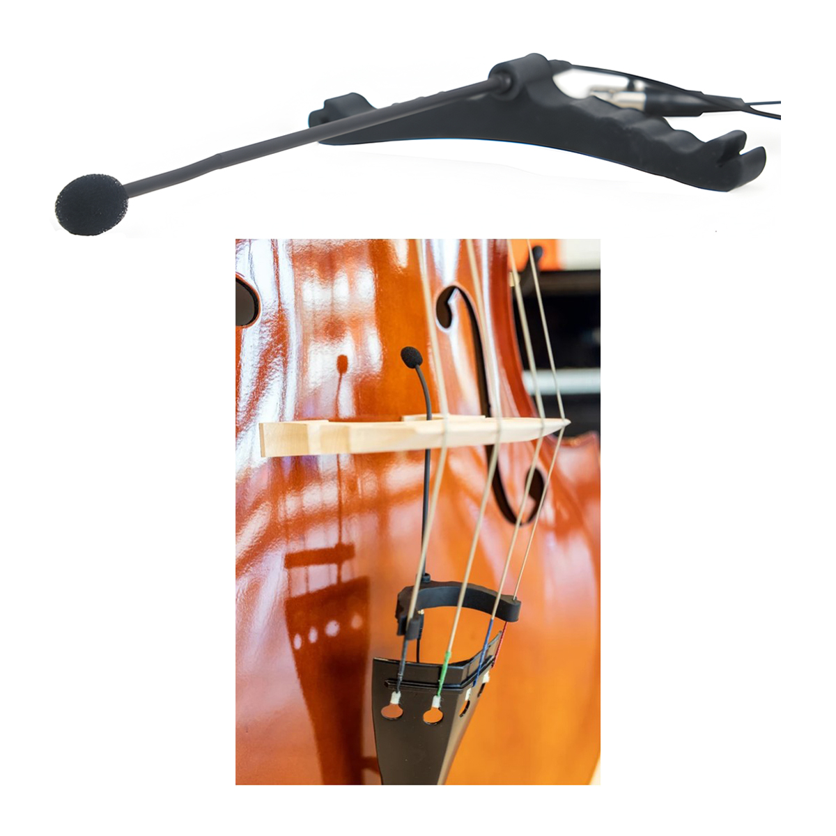 BT-20 Wired Double Bass Microphone
