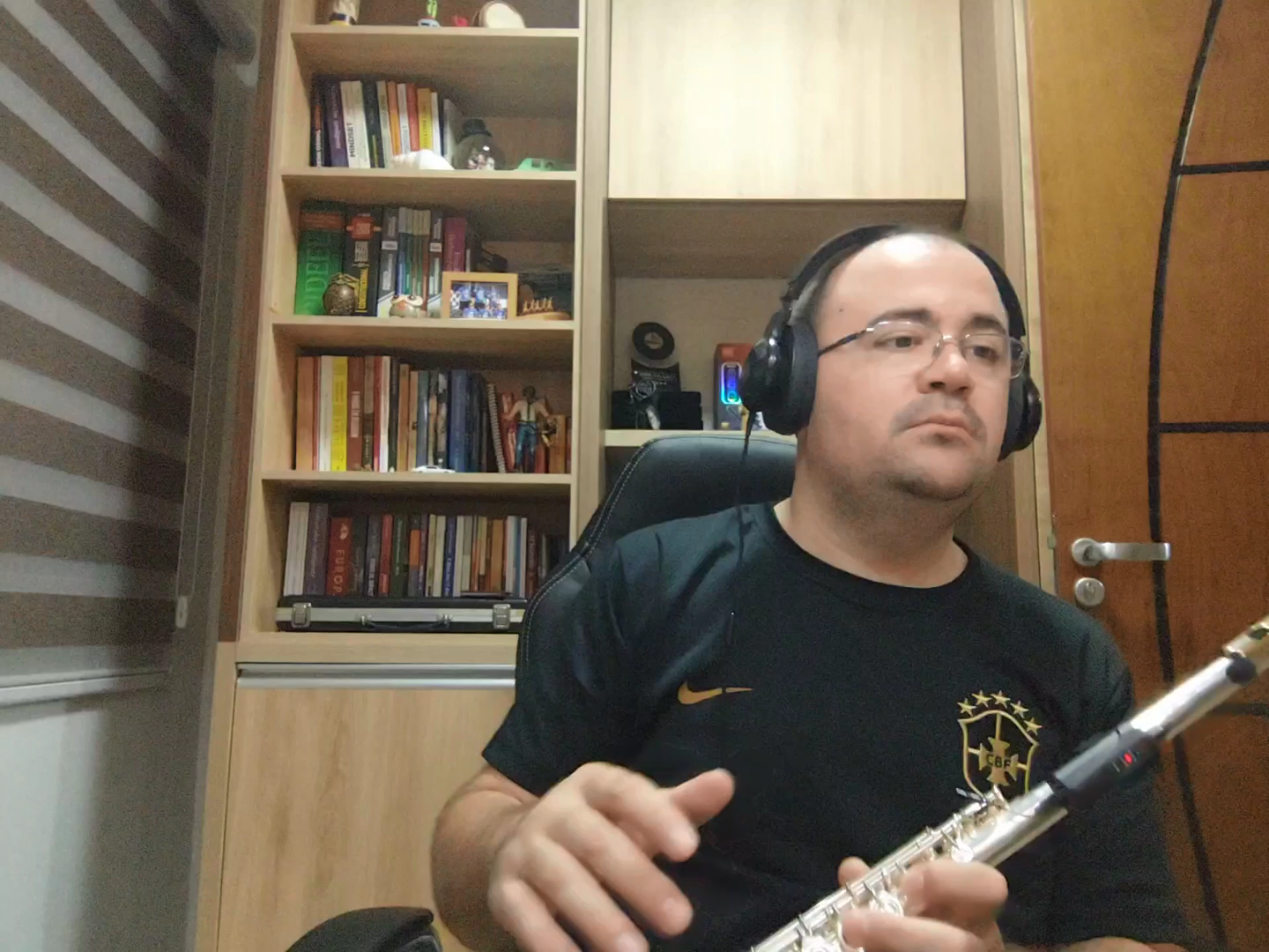 Q2/DT-5 Wireless Flute Microphone Dual Channel